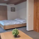 V Kopci 3* Kořenov