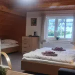 V Kopci Πανσιόν Kořenov
