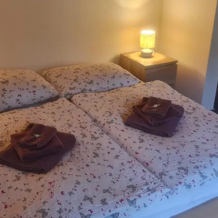 V Kopci בית הארחה 3*