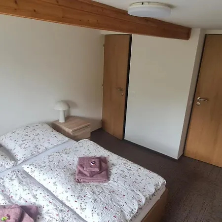 V Kopci בית הארחה Kořenov