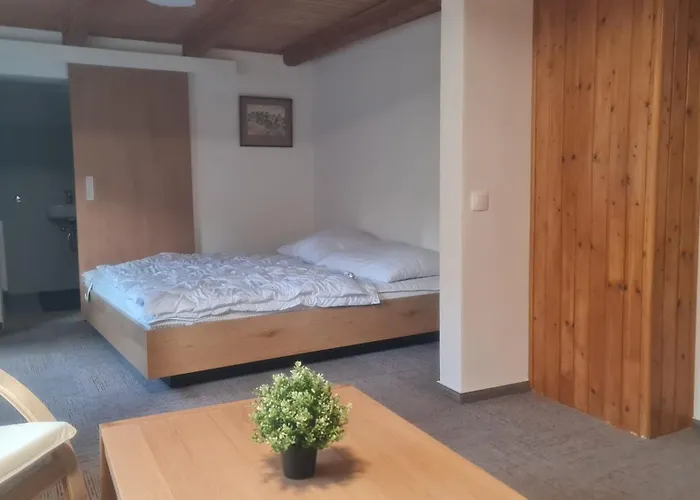 V Kopci 3* Kořenov